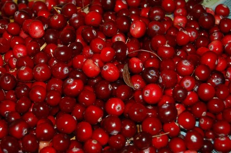 arándanos rojos