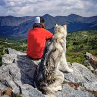 No sin mi perro, los increíbles viajes de Kelly Lung y su perro Loki