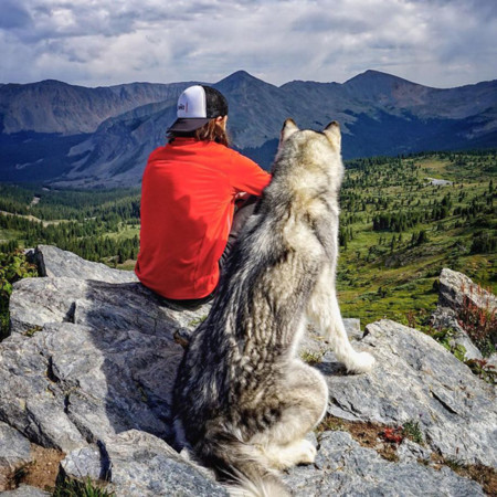No sin mi perro, los increíbles viajes de Kelly Lung y su perro Loki