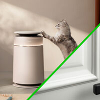 Purifica el aire y atrapa el pelo de mascotas: así es el nuevo dispositivo de Dreame en México