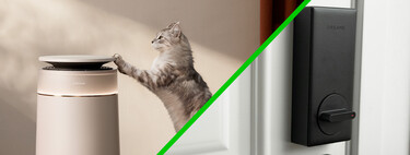 Purifica el aire y atrapa el pelo de mascotas: así es el nuevo dispositivo de Dreame en México