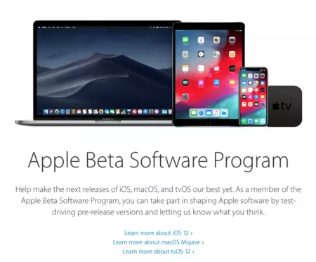 パブリックベータ