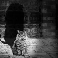 Propósito de Año Nuevo para ser mejor jefe 