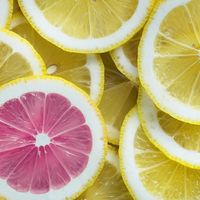 Deja salir tu creatividad cambiando de hábitos 