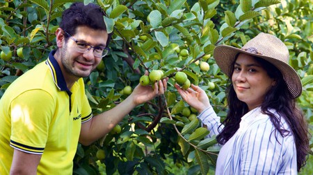Esta es la pareja que produce mermeladas con las guayabas más grandes de Aguascalientes y brinda oportunidades a adultos mayores
