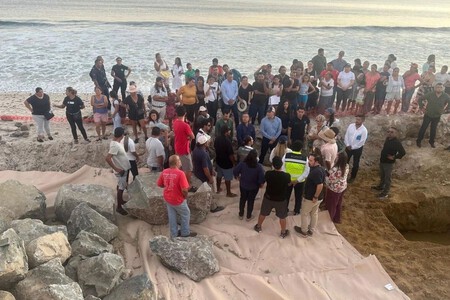 Semarnat Cancela Proyecto Turistico Tortugas Marinas Nayarit Xataka Mexico 2