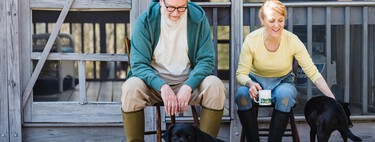 ¿Estás pensando en tener un perro o un gato? Esto es lo que cuesta mantenerlos al año