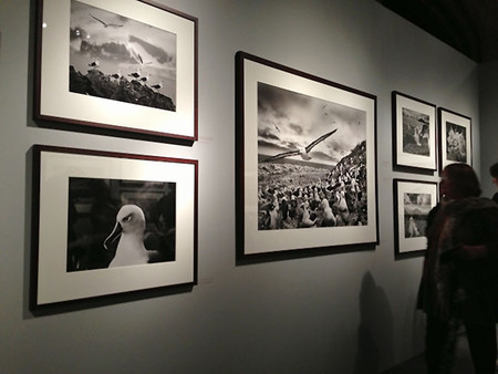 Sebastião Salgado, un pequeño recorrido por su obra fotográfica