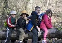 Los efectos negativos de situaciones estresantes para los niños, son menores cuando hay Naturaleza cerca