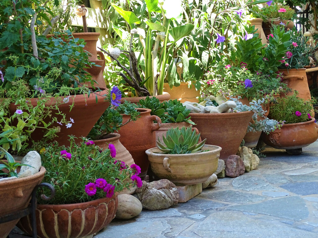 El jardinero Ignacio Guío avisa: "En octubre hay que cambiar algunas plantas de sitio, sobre todo si la temperatura mínima baja de 15 ºC, pero hay que hacerlo poco a poco"