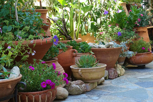 Pexels Curiousducks 5208120