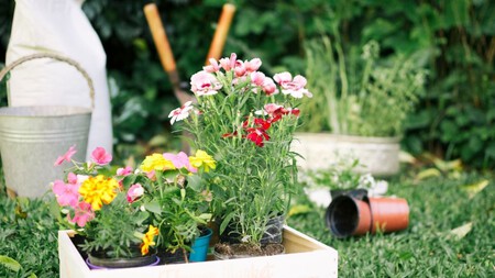 Cuidar Del Jardin