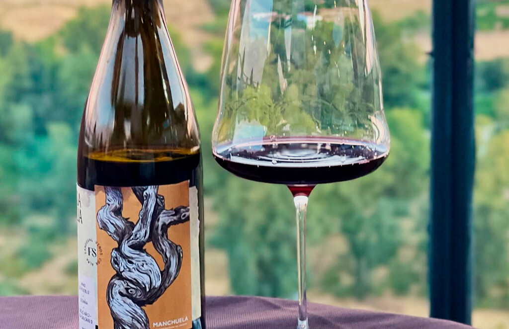 Con una gran relación calidad precio y 94 puntos Parker este vino tinto de Manchuela se elaboró de forma tradicional: pisando las uvas
