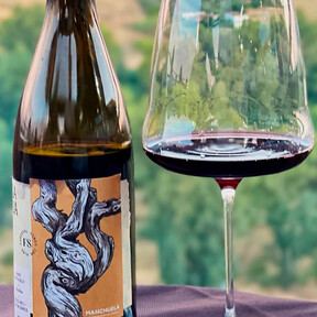 Con una gran relación calidad precio y 94 puntos Parker este vino tinto de Manchuela se elaboró de forma tradicional: pisando las uvas 