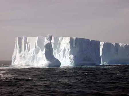 Un grupo de icebergs está de viaje rumbo a Nueva Zelanda