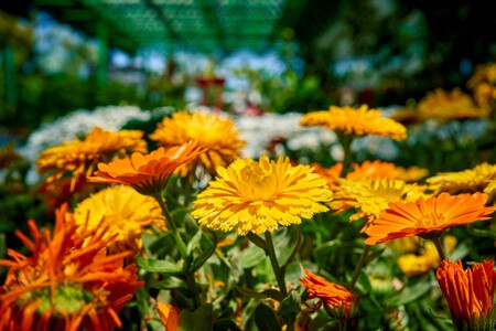 Pexels Mike Art Visual Creator Photography And Video 2159421235 36520173