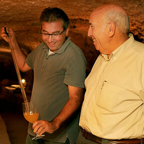 Tinto, valenciano y aplaudido por la crítica: el vino de menos de 10 euros que sorprende con una uva casi desconocida