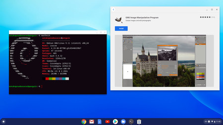 Chromeos Linux 11