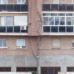 Foto 6 de 32 de la galería tamron-100-400mm-f-4-5-6-3-di-vc-usd en Xataka Foto