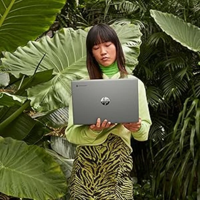 HP Chromebook 14b-na0003ns