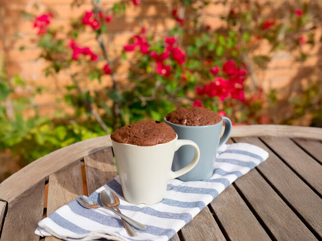 Mug Cake