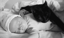 ¿Los gatos provocan alergia a los niños?