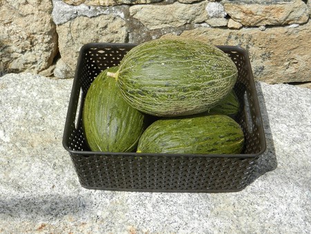 Melones3