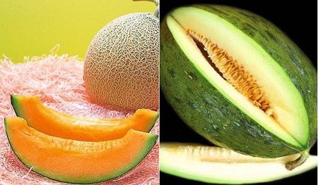 Se secuencia el genoma del melón