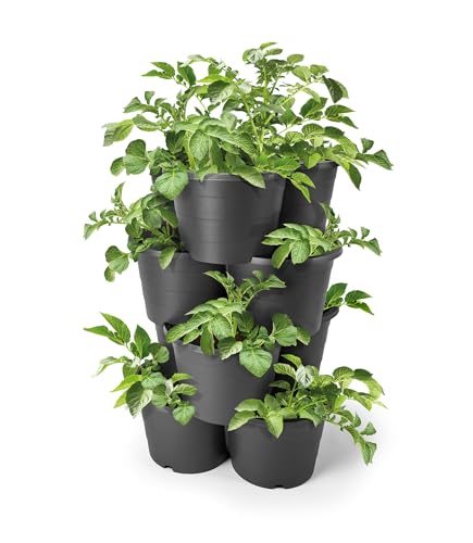 Spetebo Torre de cultivo de patatas y tomates