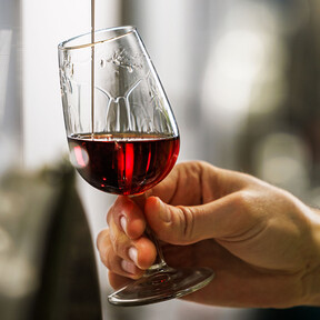 Parecen lo mismo, pero los navarros tienen claro que no lo son: qué diferencia al pacharán del licor de endrinas