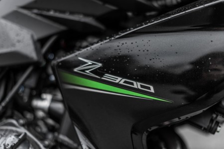 Kawasaki Z300 17