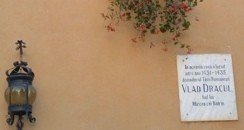 Zigoto, cuadernos y fotos de viaje