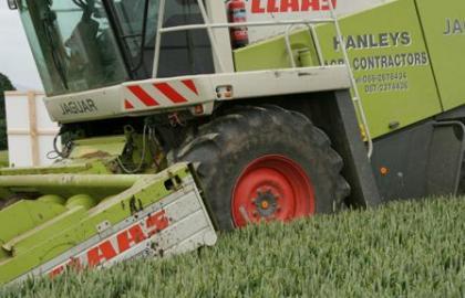 Más pegas a los agrocombustibles
