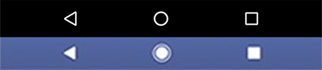 Google Pixel Nav