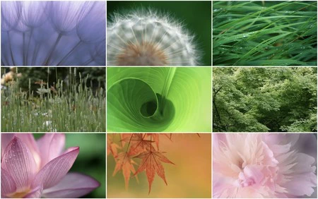 このギャラリーには他の壁紙もあります。