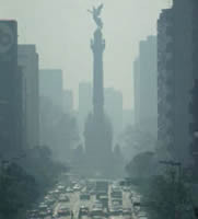 ¿La contaminación afecta a la inteligencia de los niños?