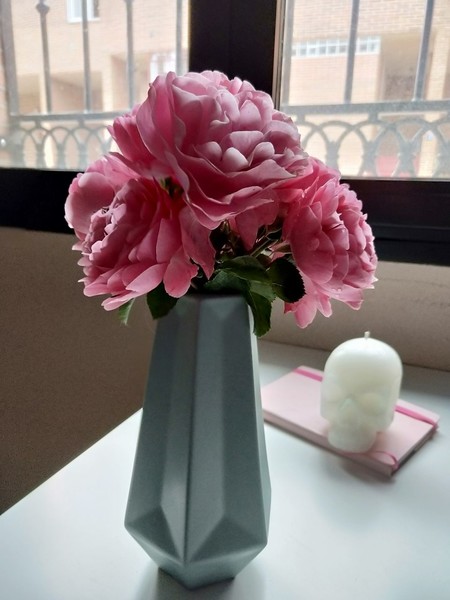 Photo5262616238469786021