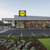 Lidl vende las sandalias de cuña estilo Skechers más cómodas para hacer turismo, por menos de 12 euros