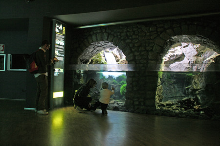 Acquario Milan