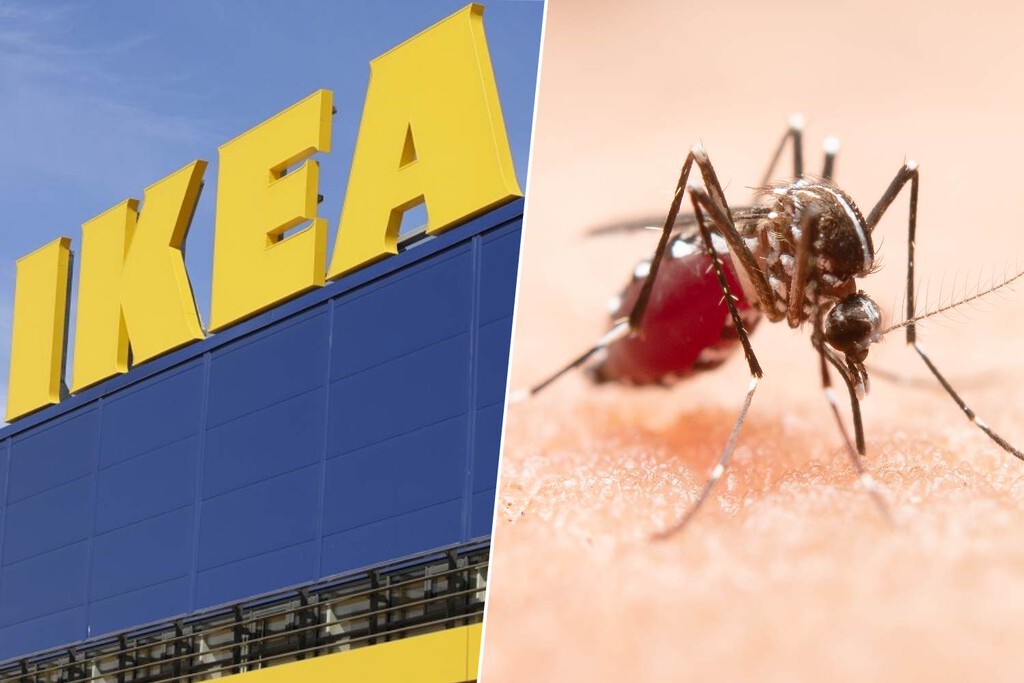 La solución barata (por menos de siete euros) de Ikea para evitar que los mosquitos entren en casa