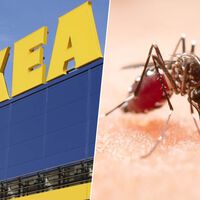 Ikea tiene una solución barata (cuesta 7 euros) con la que evitarás que los mosquitos se cuelen en casa este verano