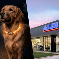 Mañana llega a Aldi lo que tu mascota necesita para el otoño: abrigos e impermeables, collares LED o rascadores por muy poco dinero 