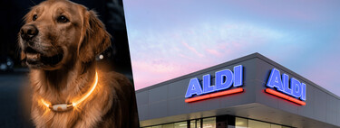 Mañana llega a Aldi lo que tu mascota necesita para el otoño: abrigos e impermeables, collares LED o rascadores por muy poco dinero 