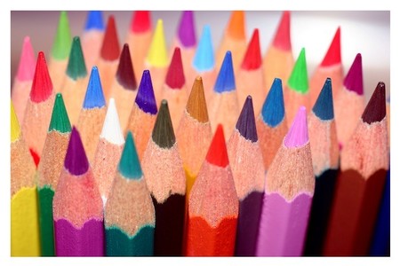 Diversidad neuronal para resolver problemas