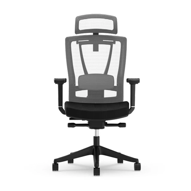 Silla Ergonómica Multi-Ajustable con Soporte Lumbar Dividido (C7)
