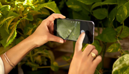 El Nexus 5X cara a cara frente a sus rivales