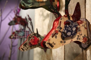 ¿Paredes aburridas? No hay motivo si conoces a Miho Unexpected Things 