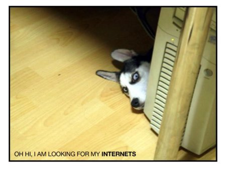 Internet is a series of blogs (LIII)