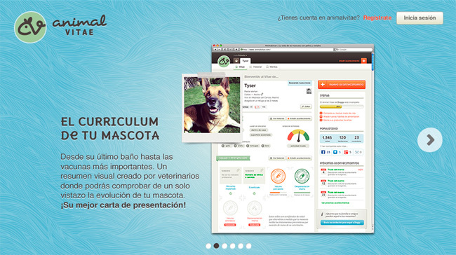 AnimalVitae