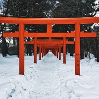 Los destinos perfectos para disfrutar del frío invierno